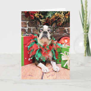 Kerstmis - Boston Terrier - Natty Feestdagen Kaart