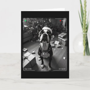 Kerstmis Boston Terrier Vangen Op Camera Kaart