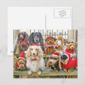 Kerstmis brengt het hele gezin bij elkaar feestdagenkaart (Voorkant / Achterkant)