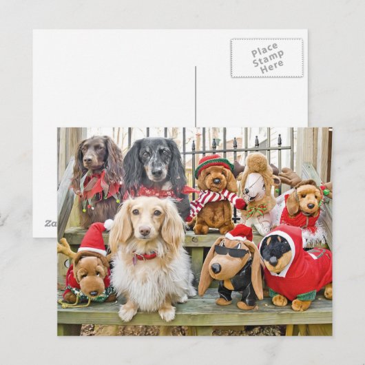 Kerstmis brengt het hele gezin bij elkaar feestdagenkaart (Voorkant / Achterkant)