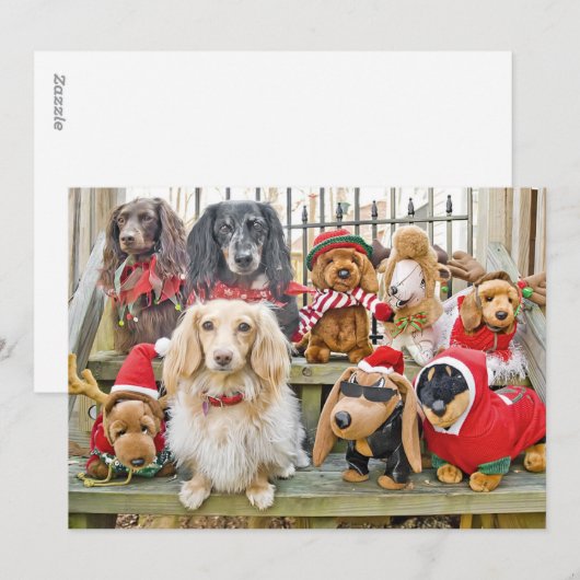 Kerstmis brengt het hele gezin bij elkaar feestdagenkaart (Voorkant / Achterkant)