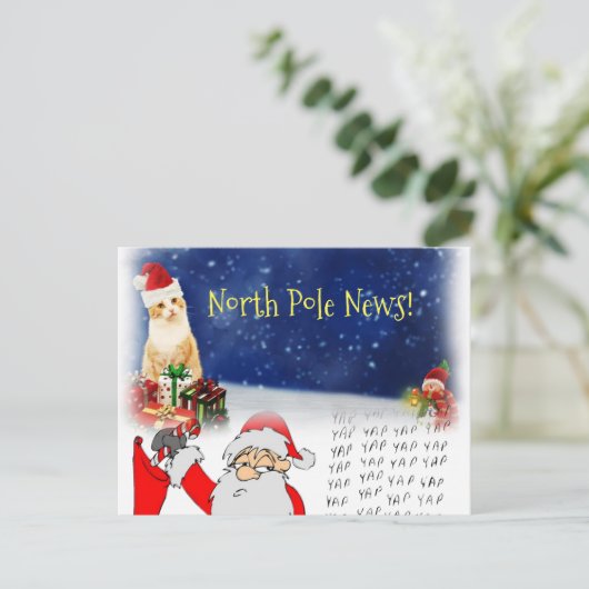 Kerstmis Briefkaarten Noordpool Santa Kitten Cats (Staand voorkant)