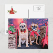 Kerstmis - Brussel Griffon - Marv en Marge Feestdagenkaart (Voorkant / Achterkant)