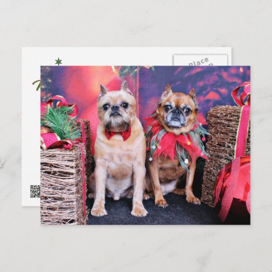 Kerstmis - Brussel Griffon - Marv en Marge Feestdagenkaart (Voorkant / Achterkant)