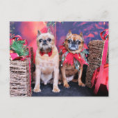 Kerstmis - Brussel Griffon - Marv en Marge Feestdagenkaart (Voorkant)