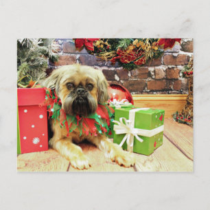 Kerstmis - Brussel Griffon - Oliver Feestdagenkaart