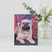 Kerstmis - Brussel Griffon - Oliver Feestdagenkaart (Staand voorkant)