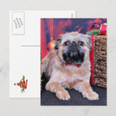 Kerstmis - Brussel Griffon - Oliver Feestdagenkaart (Voorkant / Achterkant)