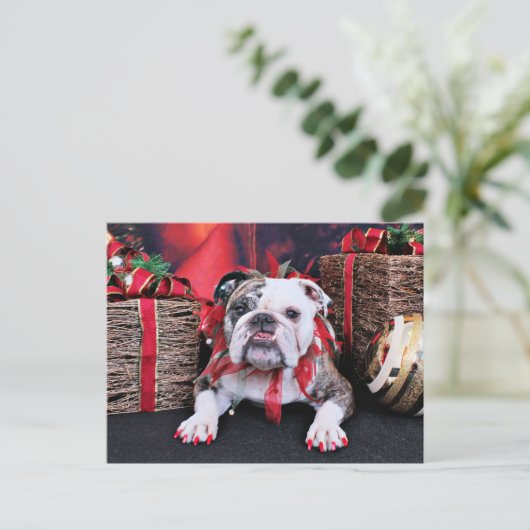 Kerstmis - Bulldog - Delilah Feestdagenkaart (Staand voorkant)