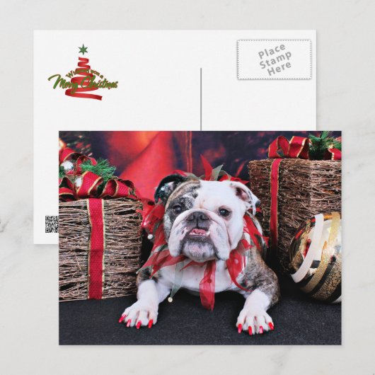 Kerstmis - Bulldog - Delilah Feestdagenkaart (Voorkant / Achterkant)