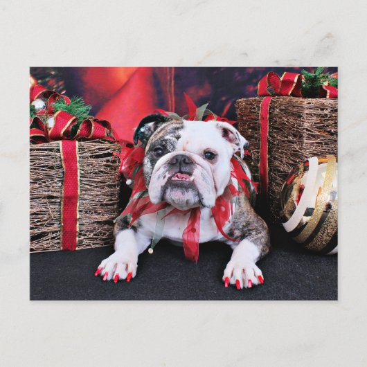 Kerstmis - Bulldog - Delilah Feestdagenkaart (Voorkant)