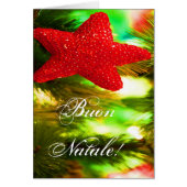 Kerstmis Buon Natale Red Kerstster III (Voorkant)
