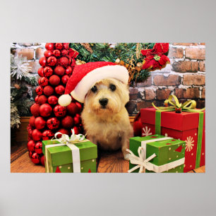 Kerstmis - Caïro Terrier - Roxy Poster
