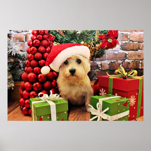 Kerstmis - Caïro Terrier - Roxy Poster (Voorkant)