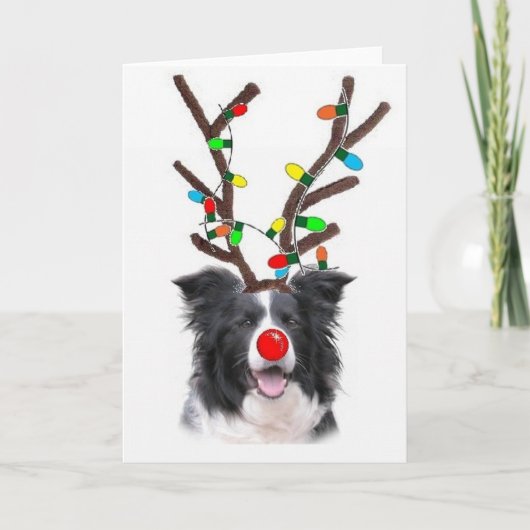 Kerstmis Card~Rudolph van border collie Feestdagen Kaart (Voorkant)