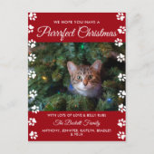 Kerstmis | Cat Holiday Foto Feestdagenkaart (Voorkant)