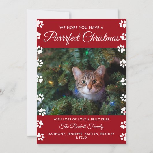 Kerstmis | Cat Holiday Foto Feestdagenkaart (Voorkant)