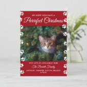 Kerstmis | Cat Holiday Foto Feestdagenkaart (Staand voorkant)