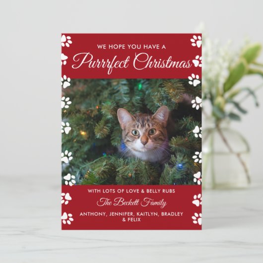 Kerstmis | Cat Holiday Foto Feestdagenkaart (Staand voorkant)
