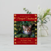 Kerstmis | Cat Photo Real Folie Feestdagen Briefkaart (Staand Voorkant)
