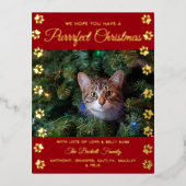 Kerstmis | Cat Photo Real Folie Feestdagen Briefkaart (Voorkant)