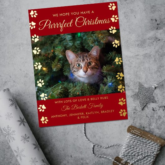Kerstmis | Cat Photo Real Folie Feestdagen Briefkaart