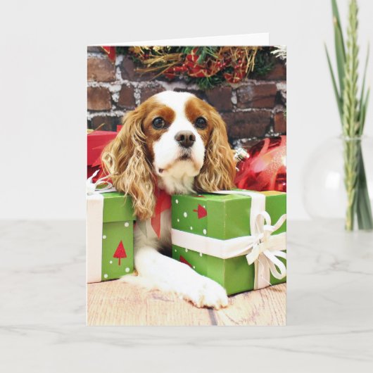 Kerstmis - Cavalier King Charles Spaniel - Klaproo Feestdagen Kaart (Voorkant)