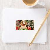 Kerstmis - Cavalier King Charles Spaniel Maverick Etiket (Insitu)