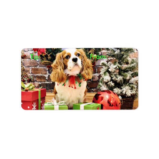 Kerstmis - Cavalier King Charles Spaniel Maverick Etiket (Voorkant)