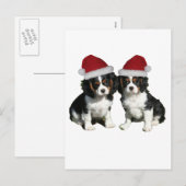 Kerstmis Cavaliers Feestdagenkaart (Voorkant / Achterkant)