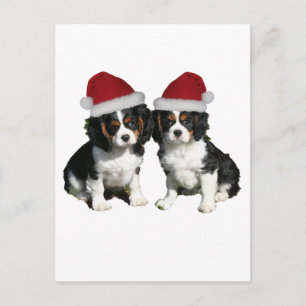 Kerstmis Cavaliers Feestdagenkaart