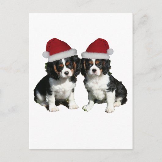 Kerstmis Cavaliers Feestdagenkaart (Voorkant)
