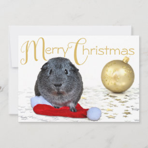 Kerstmis Cavia Gouden Ornament Feestdagenkaart
