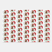 Kerstmis Cheer Matte 19" x 29" Inpakpapier Vel (Voorkant 3)