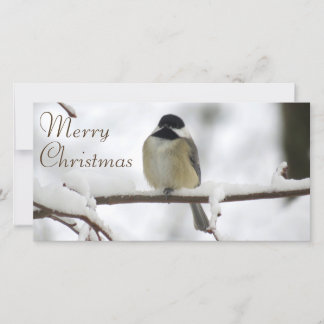 Kerstmis Chickadee Feestdagenkaart