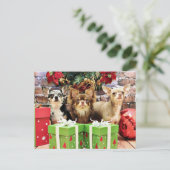 Kerstmis - Chihuahua - Blauw - Kostbaar - Yogi Feestdagenkaart (Staand voorkant)