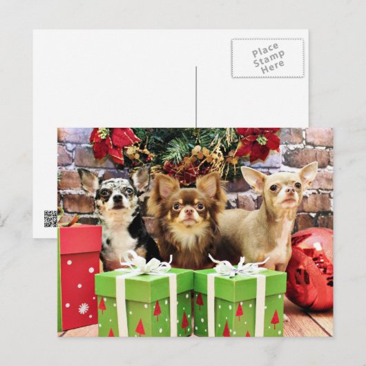 Kerstmis - Chihuahua - Blauw - Kostbaar - Yogi Feestdagenkaart (Voorkant / Achterkant)