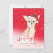 Kerstmis: Chihuahua Dog Gold Red Seizoensgebonden  (Voorkant)