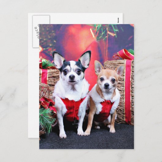 Kerstmis - Chihuahua - Moo en Ginger Feestdagenkaart (Voorkant / Achterkant)