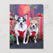 Kerstmis - Chihuahua - Moo en Ginger Feestdagenkaart (Voorkant)