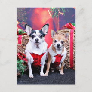 Kerstmis - Chihuahua - Moo Moo en Ginger Feestdagenkaart
