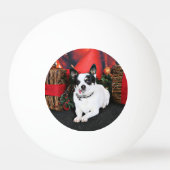 Kerstmis - Chihuahua X - Stella Pingpongbal (Voorkant)