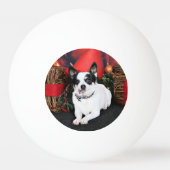 Kerstmis - Chihuahua X - Stella Pingpongbal (Achterkant)