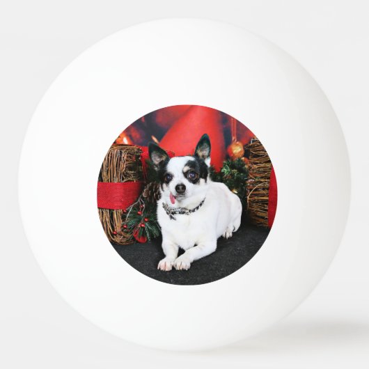 Kerstmis - Chihuahua X - Stella Pingpongbal (Achterkant)