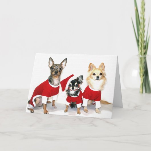 Kerstmis Chihuahuas Feestdagen Kaart (Voorkant)