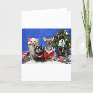 Kerstmis Chihuahuas Feestdagen Kaart