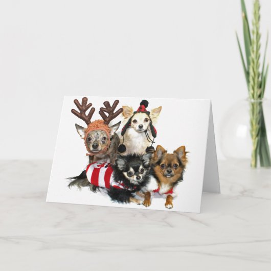 Kerstmis Chihuahuas Feestdagen Kaart (Voorkant)