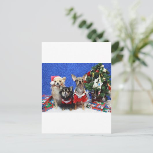 Kerstmis Chihuahuas Feestdagenkaart (Staand voorkant)