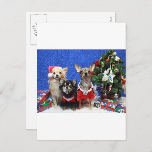 Kerstmis Chihuahuas Feestdagenkaart (Voorkant / Achterkant)