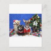 Kerstmis Chihuahuas Feestdagenkaart (Voorkant)